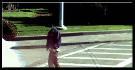 Google Street View Headless
